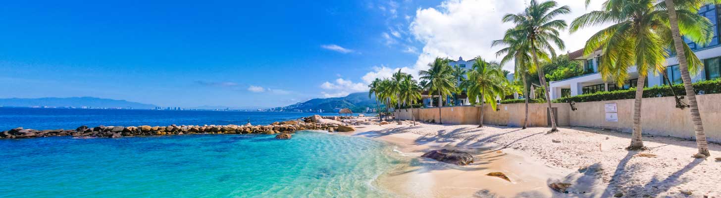 Palm trees along the edge of the beach in Puerto Vallarta, Mexico