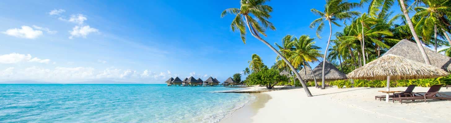 Palm trees, white sands & turquoise waters of a tropical beach