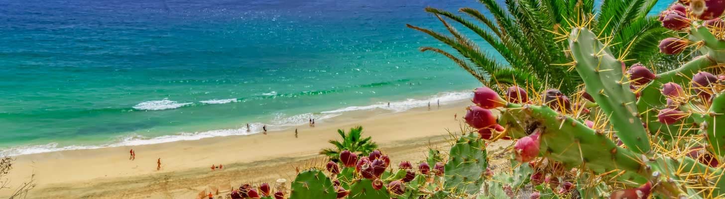 Aerial view of golden sands & blue seas of a beach in the Canary Islands