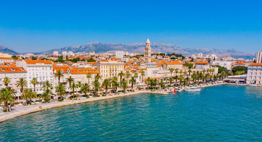 Palm trees line the shore in Split, Croatia