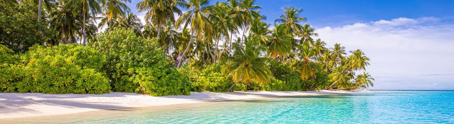 White sands, crystal clear waters and palm trees on a tropical beach