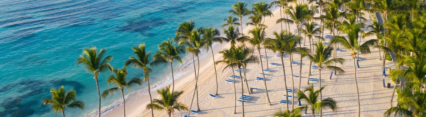 Palm trees on the white sands of a beach in Punta Cana, Dominican Republic